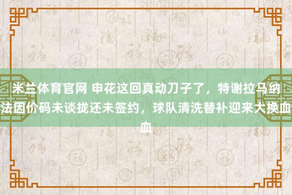 米兰体育官网 申花这回真动刀子了，特谢拉马纳法因价码未谈拢还未签约，球队清洗替补迎来大换血