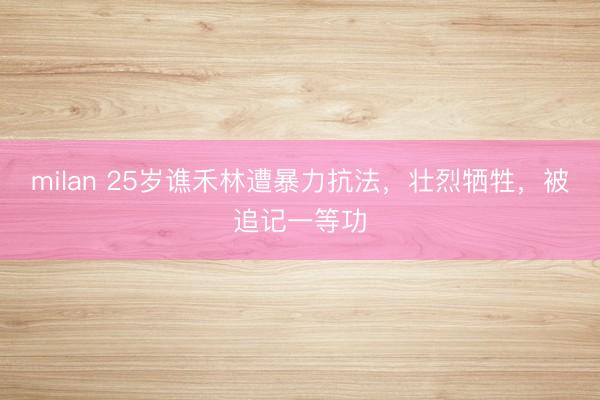 milan 25岁谯禾林遭暴力抗法，壮烈牺牲，被追记一等功